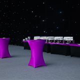 Corporate Party for the Russian Branch of PepsiCo Corporation