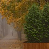 Fall Fall
