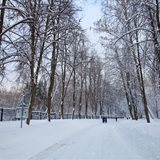 Winter Winter
