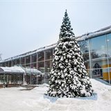 Lovely Winter Mood Lovely Winter Mood