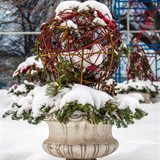 Lovely Winter Mood Lovely Winter Mood