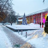 Чудесное зимнее настроение Чудесное зимнее настроение