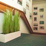 Spring redecoration in the office Spring redecoration in the office