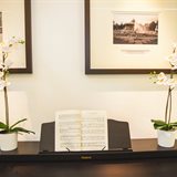 Spring redecoration in the office Spring redecoration in the office