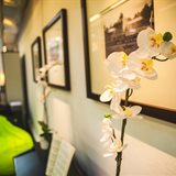 Spring redecoration in the office