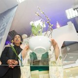 The mysterious world of Japanese calligraphy