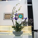 The mysterious world of Japanese calligraphy