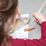 Writing Traditions of Veliky Novgorod workshops