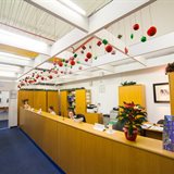 Anticipating New Year celebrations