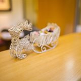 Anticipating New Year celebrations