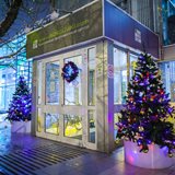 Anticipating New Year celebrations