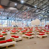 IT company corporate event