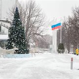 Winter Winter