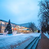 В ожидании Нового года В ожидании Нового года