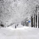 Winter Winter