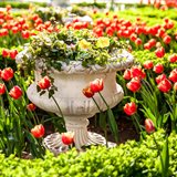 Spring Spring