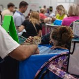 Выставка кошек «Кэт-Салон-Август», продажа котят разных пород Выставка кошек «Кэт-Салон-Август», продажа котят разных пород