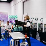 «Зимняя сказка». Выставка кошек памяти Людмилы Есиной «Зимняя сказка». Выставка кошек памяти Людмилы Есиной