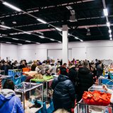 Winter Fairy Tale: cat show in memory of Ludmila Esina