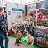 Moscow Dive Show 2020