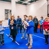 Выставка кошек, продажа котят всех пород «КоШарики Шоу» 