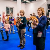 《猫之Show》全品种猫咪展销会 《猫之Show》全品种猫咪展销会