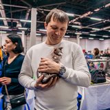 《猫之Show》全品种猫咪展销会