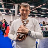 Выставка кошек, продажа котят всех пород «КоШарики Шоу» Выставка кошек, продажа котят всех пород «КоШарики Шоу»