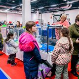 《猫之Show》全品种猫咪展销会