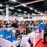 《猫之Show》全品种猫咪展销会