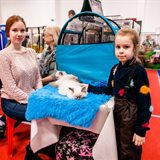 《猫之Show》全品种猫咪展销会