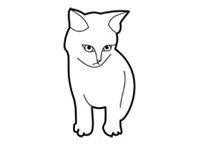 Wax Flower, a Cat Lovers Club