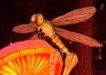 /en/exhibitions/video/channel-one-good-morning-chinese-lantern-festival-in-sokolniki